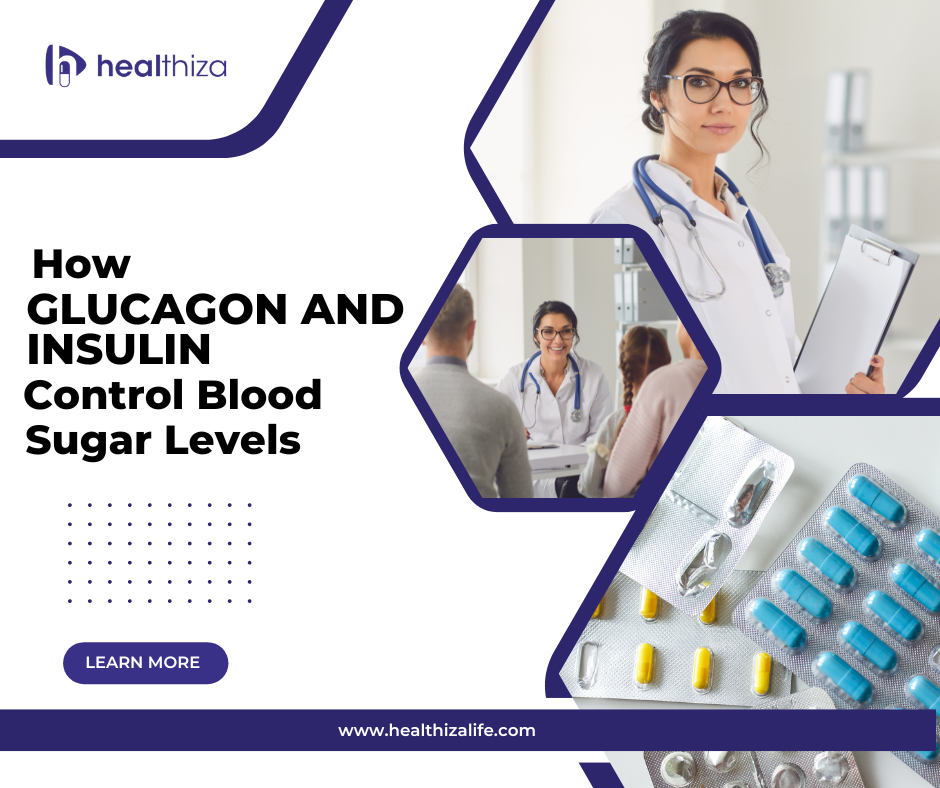 Glucagon and Insulin control blood sugar levels