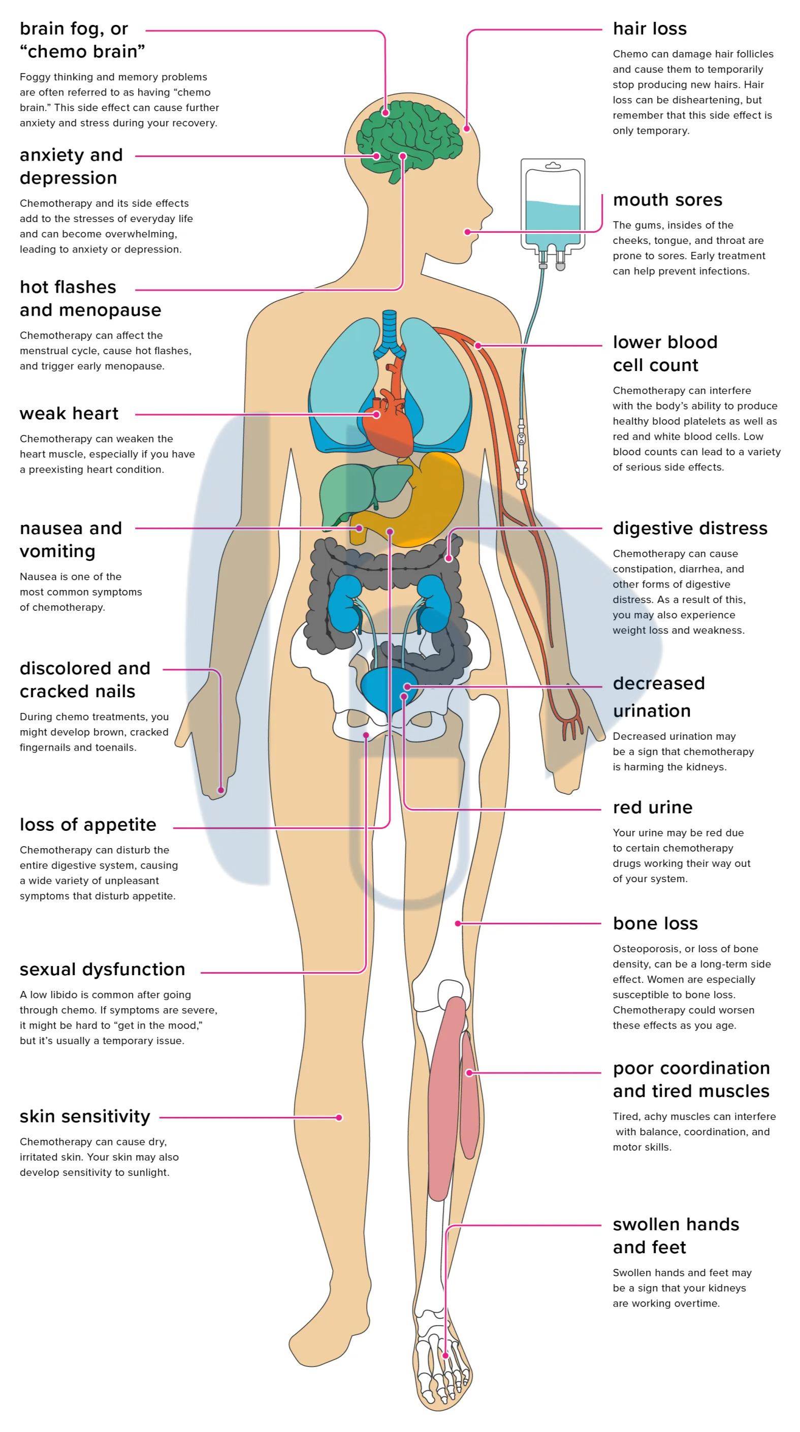 Effects of Chemotherapy